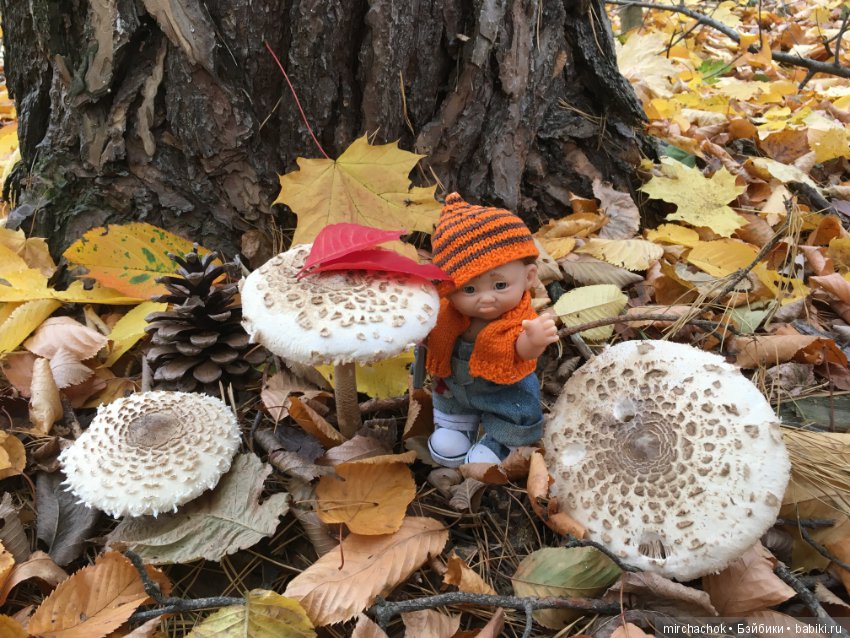 Как Данька за зонтиками ходил (фото 2)