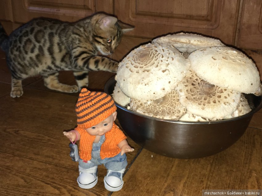 Как Данька за зонтиками ходил