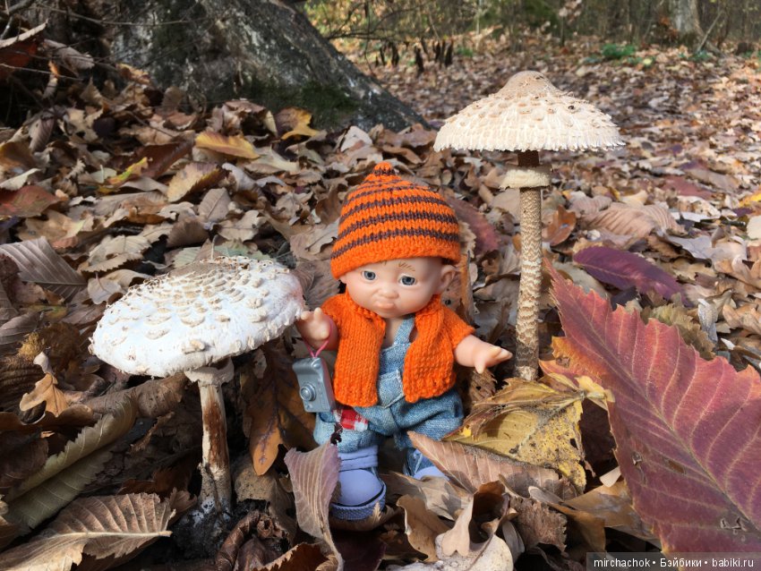 Как Данька за зонтиками ходил (фото 10)