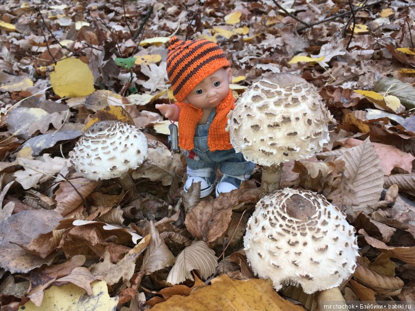 Как Данька за зонтиками ходил (фото 5)