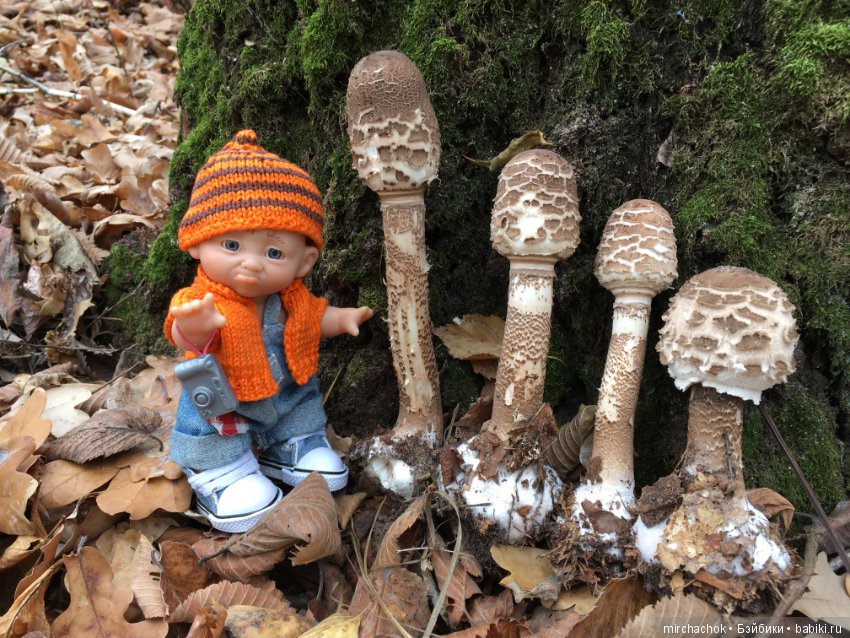 Как Данька за зонтиками ходил (фото 9)