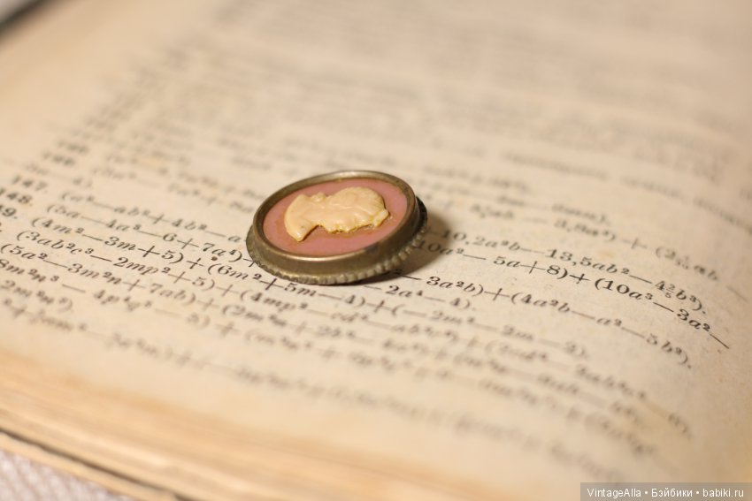 Тонкий профиль... Нос изящной лепки (фото 6)