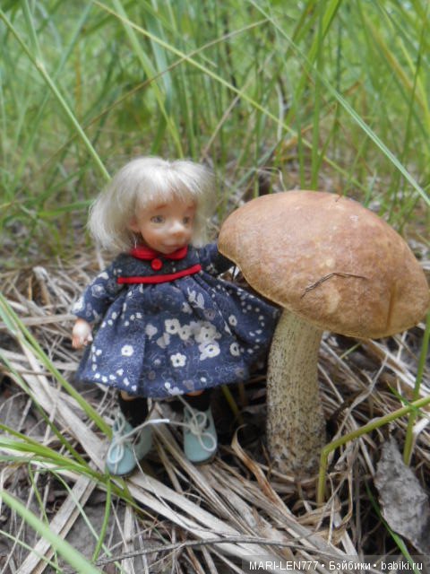 Поход за грибами — Интересное и необычное: фотоподборки