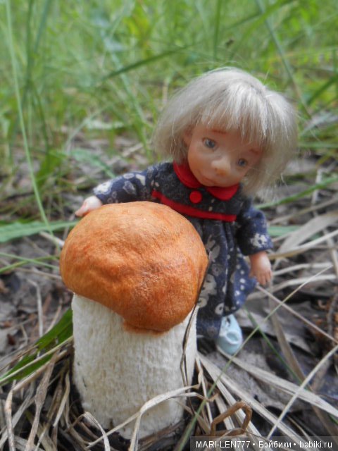 Поход за грибами — Интересное и необычное: фотоподборки