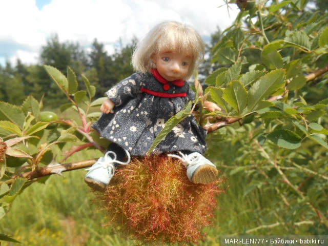 Поход за грибами — Интересное и необычное: фотоподборки (фото 2)