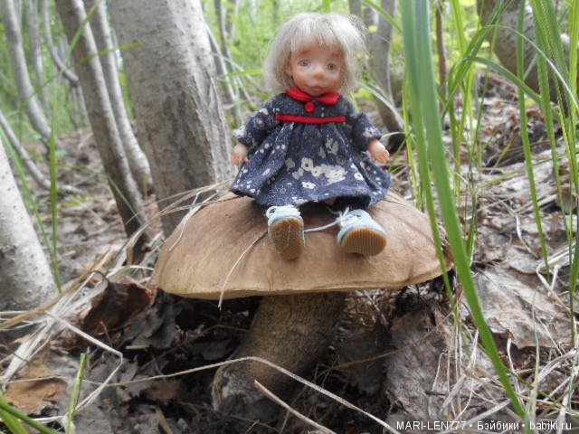 Поход за грибами — Интересное и необычное: фотоподборки