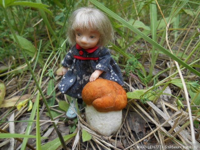 Поход за грибами — Интересное и необычное: фотоподборки