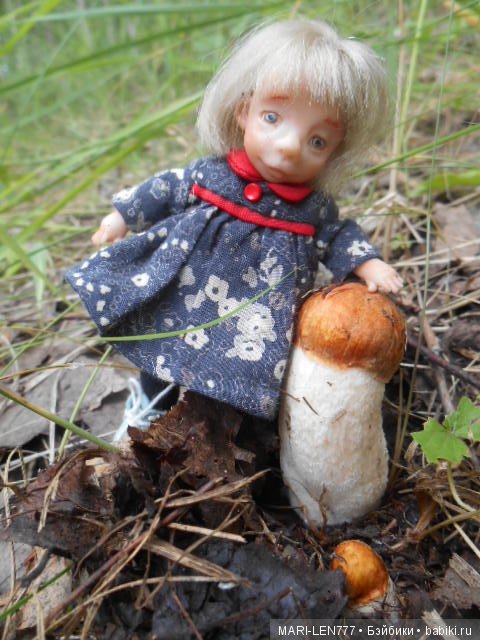 Поход за грибами — Интересное и необычное: фотоподборки