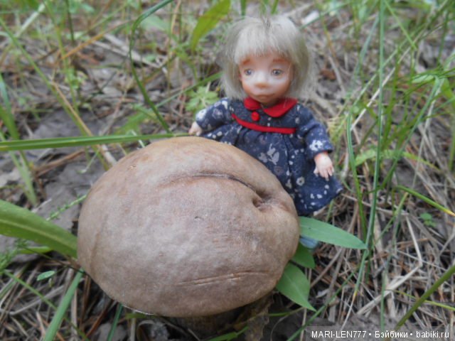 Поход за грибами — Интересное и необычное: фотоподборки