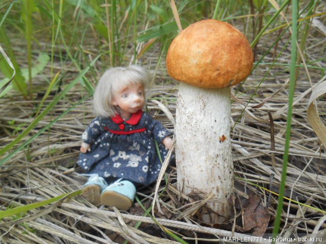 Поход за грибами — Интересное и необычное: фотоподборки