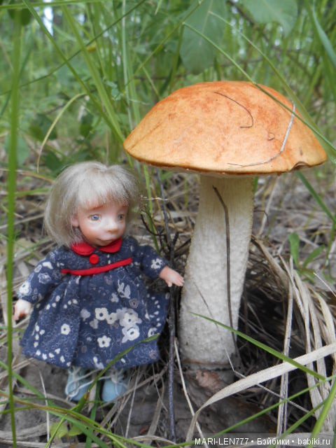 Поход за грибами — Интересное и необычное: фотоподборки (фото 7)