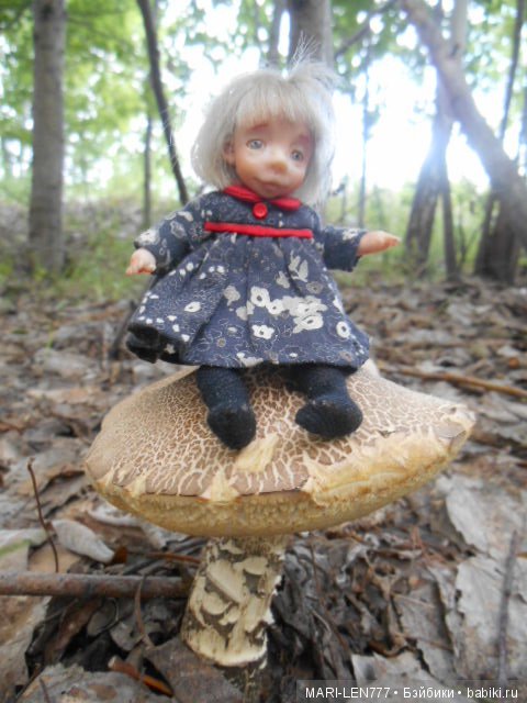 Поход за грибами — Интересное и необычное: фотоподборки