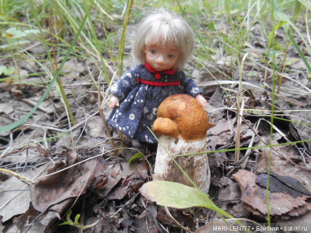 Поход за грибами — Интересное и необычное: фотоподборки