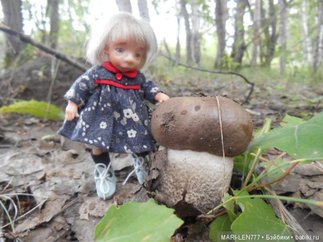 Поход за грибами — Интересное и необычное: фотоподборки (фото 5)