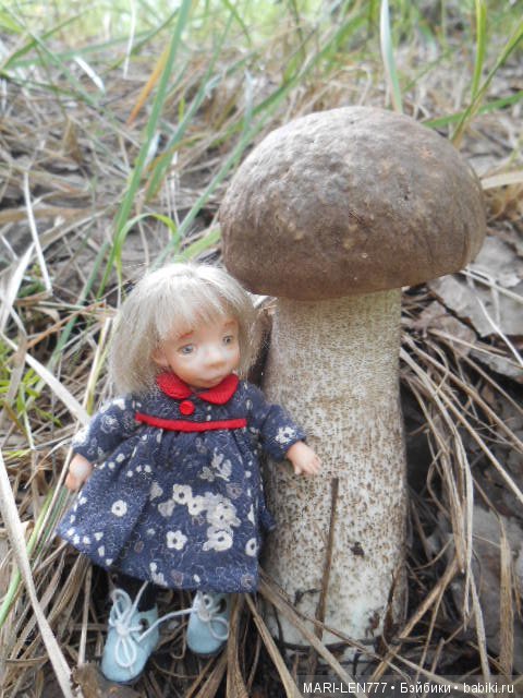 Поход за грибами — Интересное и необычное: фотоподборки