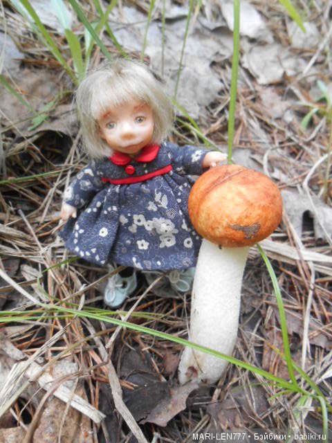 Поход за грибами — Интересное и необычное: фотоподборки