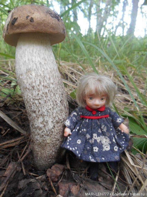 Поход за грибами — Интересное и необычное: фотоподборки