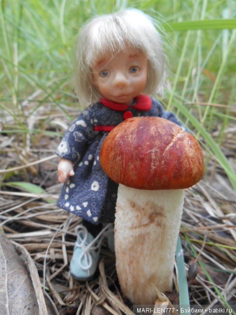 Поход за грибами — Интересное и необычное: фотоподборки