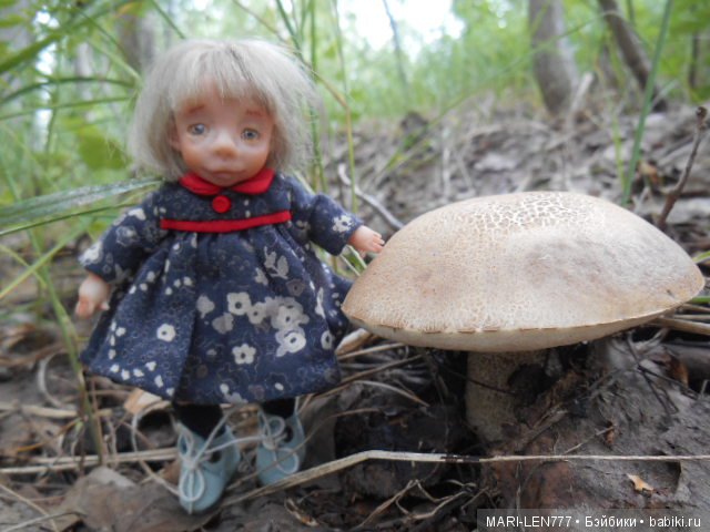 Поход за грибами — Интересное и необычное: фотоподборки