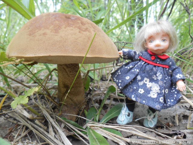 Поход за грибами — Интересное и необычное: фотоподборки