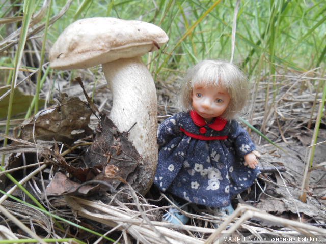 Поход за грибами — Интересное и необычное: фотоподборки