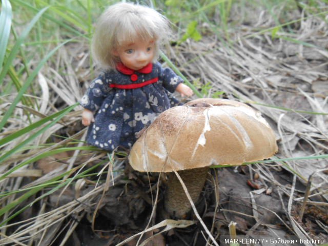 Поход за грибами — Интересное и необычное: фотоподборки