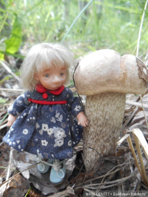 Поход за грибами — Интересное и необычное: фотоподборки