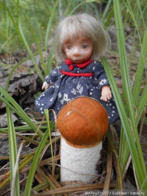 Поход за грибами — Интересное и необычное: фотоподборки (фото 10)