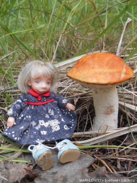 Поход за грибами — Интересное и необычное: фотоподборки