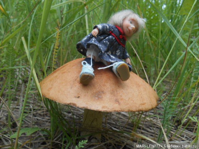 Поход за грибами — Интересное и необычное: фотоподборки