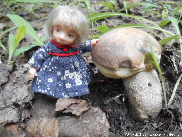 Поход за грибами — Интересное и необычное: фотоподборки