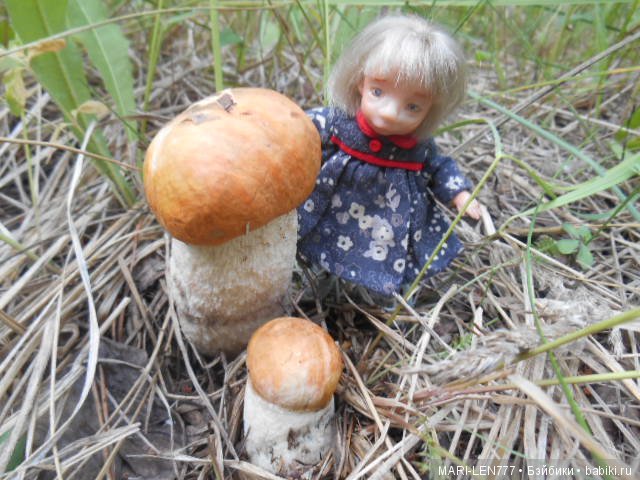 Поход за грибами — Интересное и необычное: фотоподборки