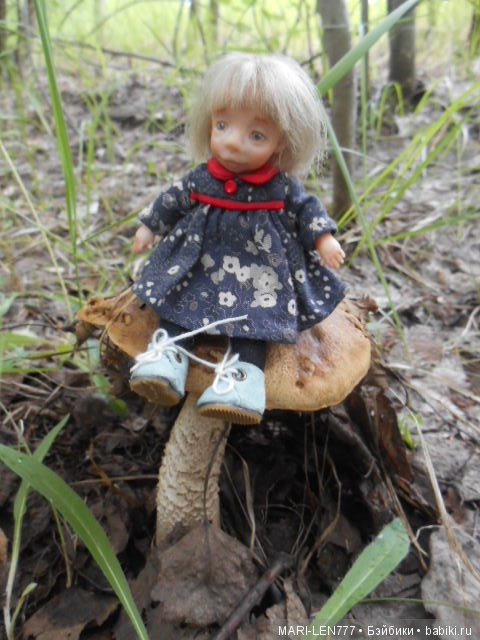 Поход за грибами — Интересное и необычное: фотоподборки