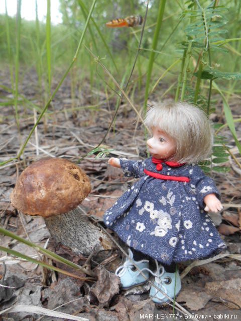 Поход за грибами — Интересное и необычное: фотоподборки (фото 6)