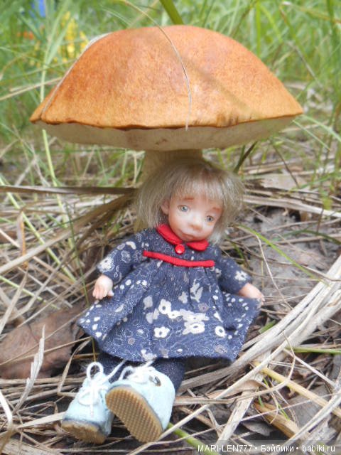 Поход за грибами — Интересное и необычное: фотоподборки