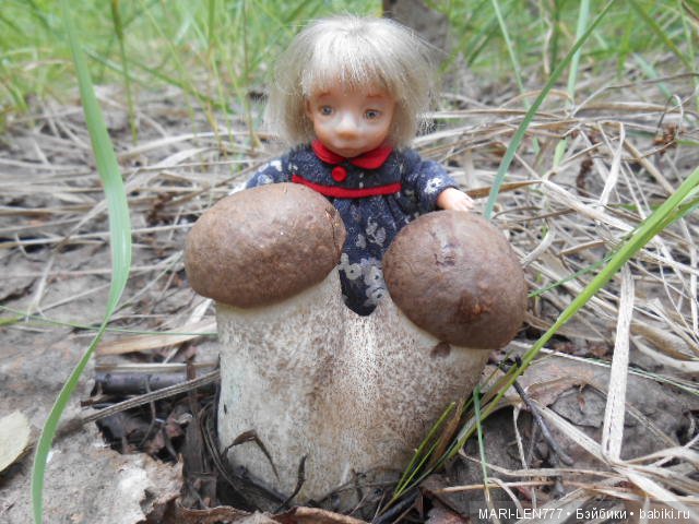 Поход за грибами — Интересное и необычное: фотоподборки