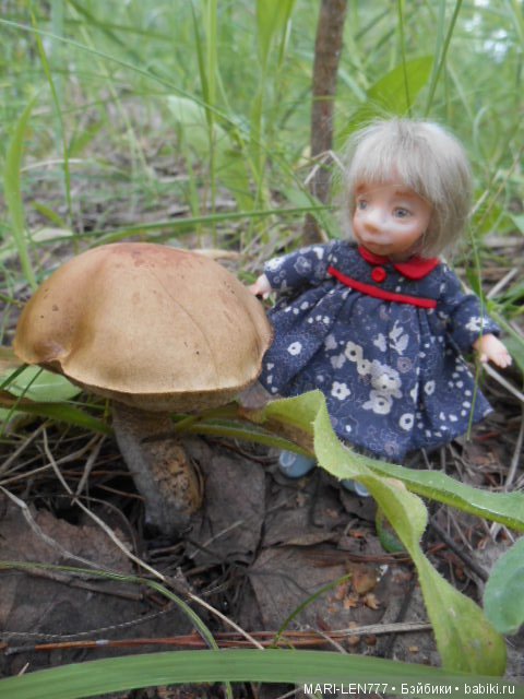 Поход за грибами — Интересное и необычное: фотоподборки