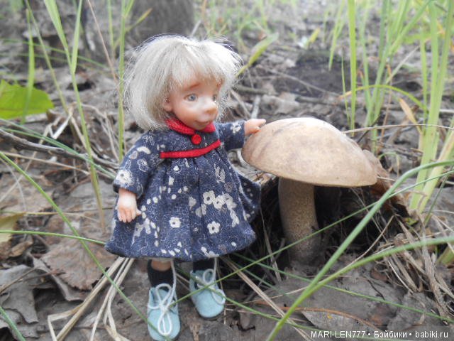 Поход за грибами — Интересное и необычное: фотоподборки (фото 4)