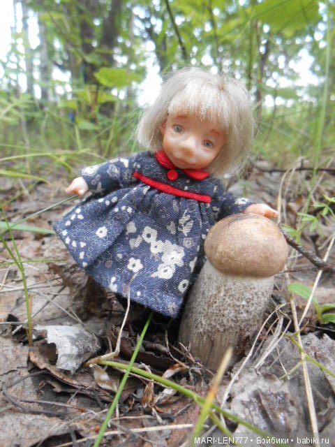 Поход за грибами — Интересное и необычное: фотоподборки