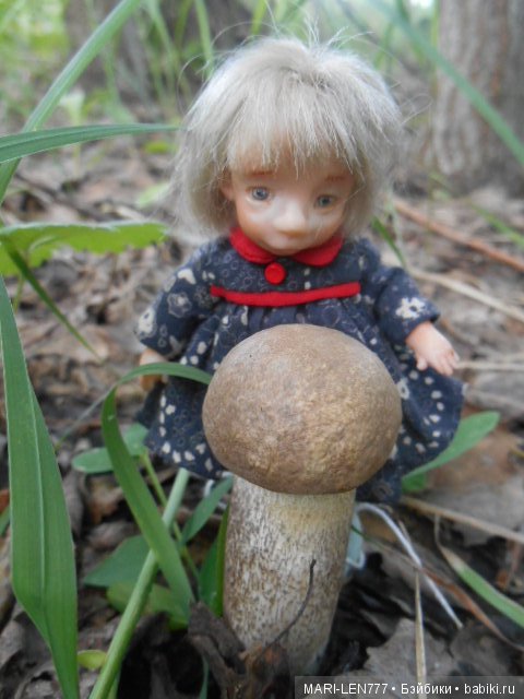 Поход за грибами — Интересное и необычное: фотоподборки