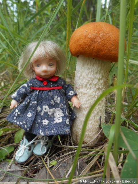 Поход за грибами — Интересное и необычное: фотоподборки (фото 8)