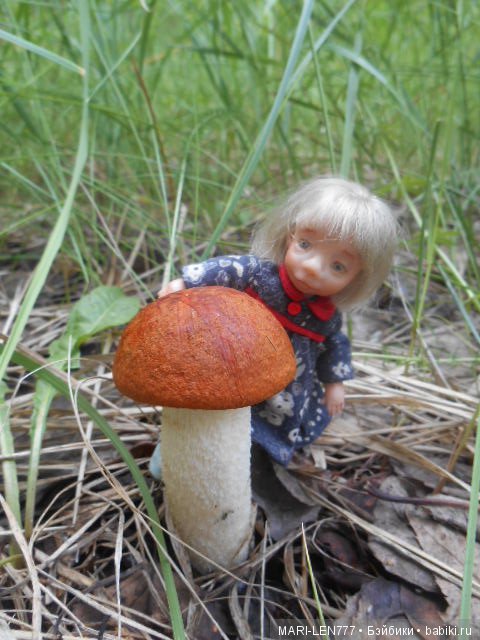 Поход за грибами — Интересное и необычное: фотоподборки