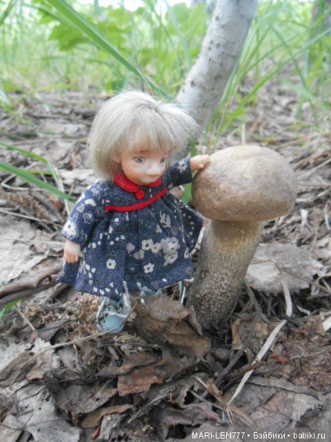 Поход за грибами — Интересное и необычное: фотоподборки