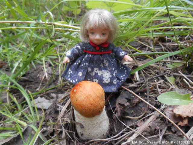 Поход за грибами — Интересное и необычное: фотоподборки