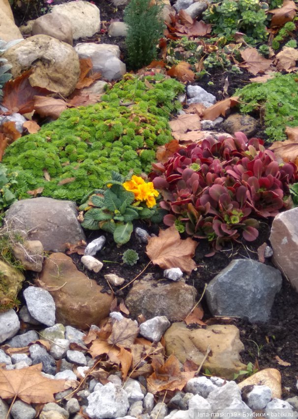 Ёжик и осень — Текстильные игрушки и примитивы: кофейные (фото 10)