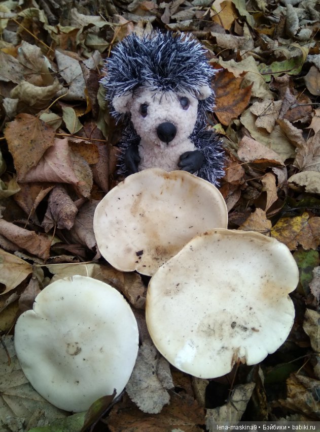 Ёжик и осень — Текстильные игрушки и примитивы: кофейные (фото 6)