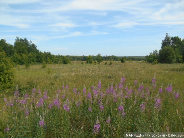 Любимая деревня! И с вами снова Феня-озорница