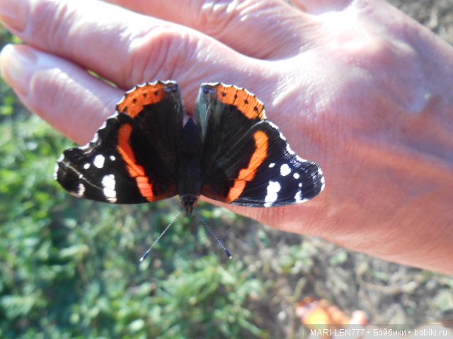 Любимая деревня! И с вами снова Феня-озорница