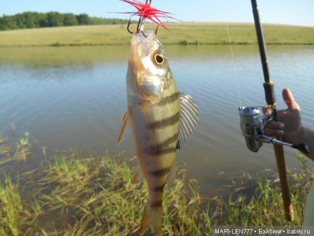 Любимая деревня! И с вами снова Феня-озорница