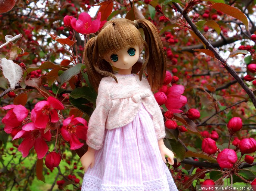 Nina`s Summer Holiday — Аниме куклы (MJD/Винил): Imomo (фото 8)